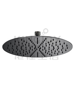 (KJ8077431) Showerhead and Oslash 250mm
