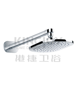 (KJ8087710) Wall shower arm with oval rainshower