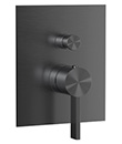 Single lever concealed mixer with diverter