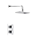Thermostatic shower mixer